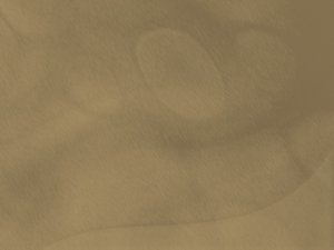 方案和竞品到底差在哪